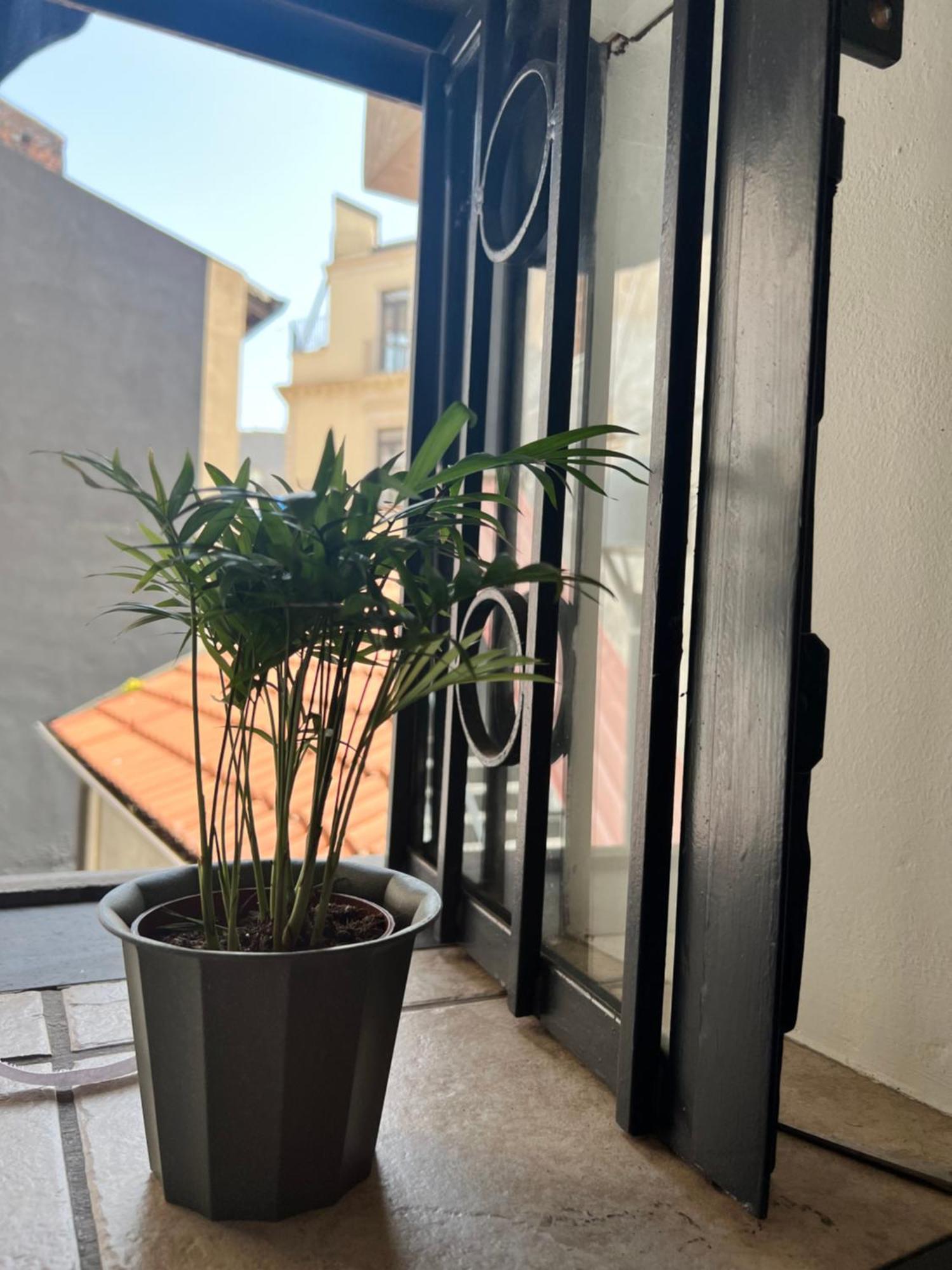 קטאניה Barcaioli'S Home מראה חיצוני תמונה